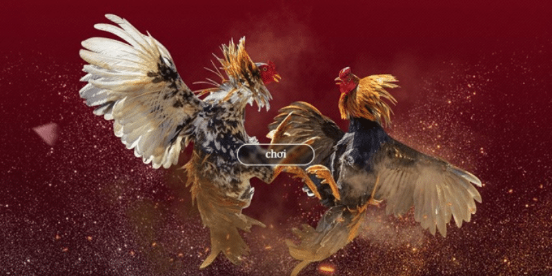 Untitled design 13 2 - Hướng dẫn đá gà online một cách dễ nhất