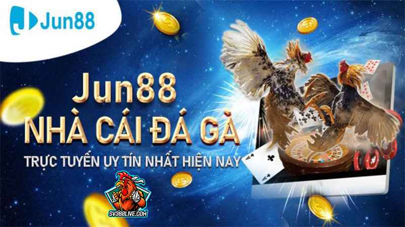 da ga jun88 11zon - Giải mã cách thắng đá gà đơn giản không phải ai cũng biết